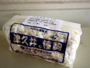 椎茸の種駒